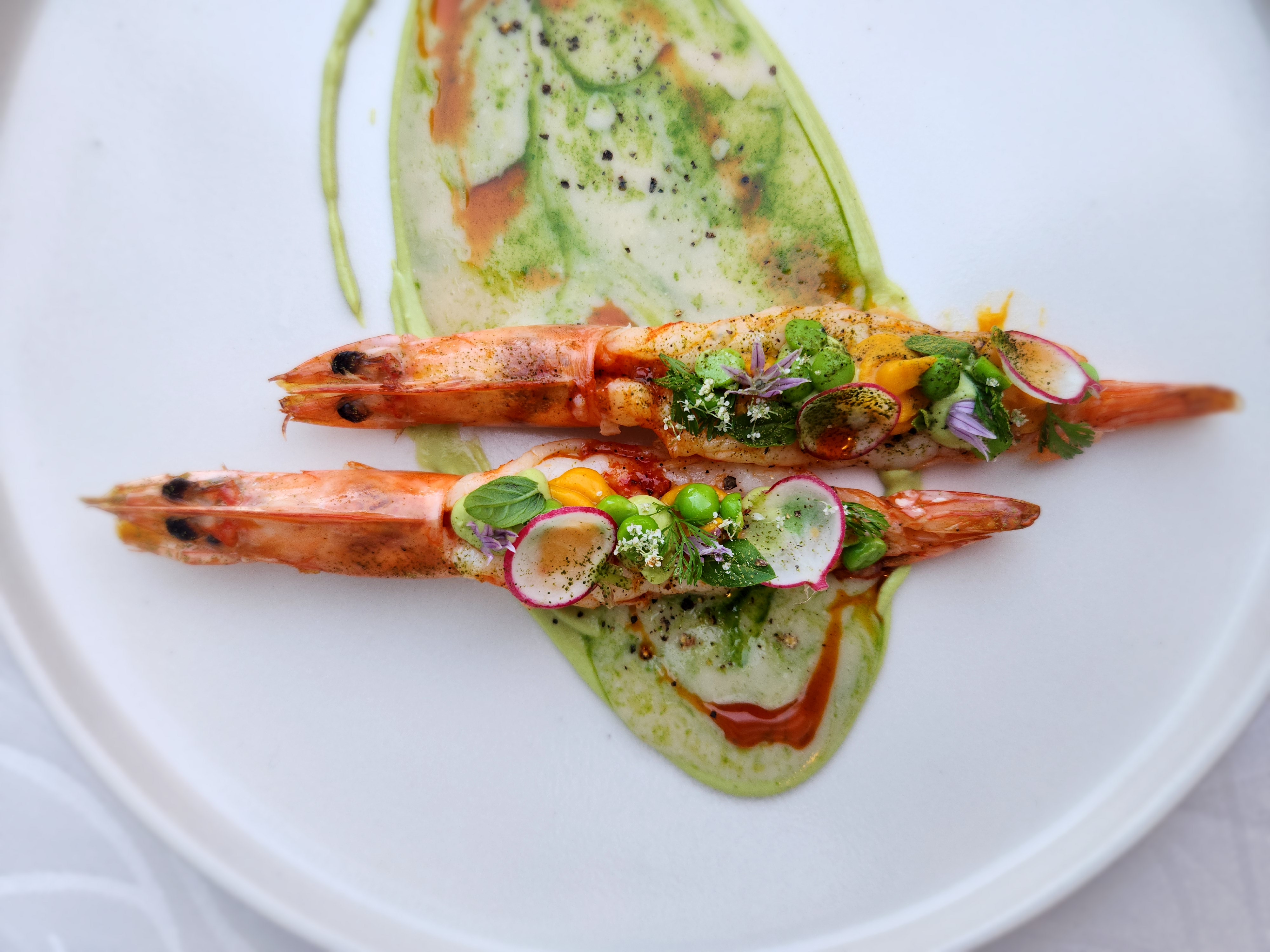 Charred tiger prawns plated with avocado crema, radish, and herb oil